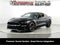 2019 Ford Mustang BULLITT