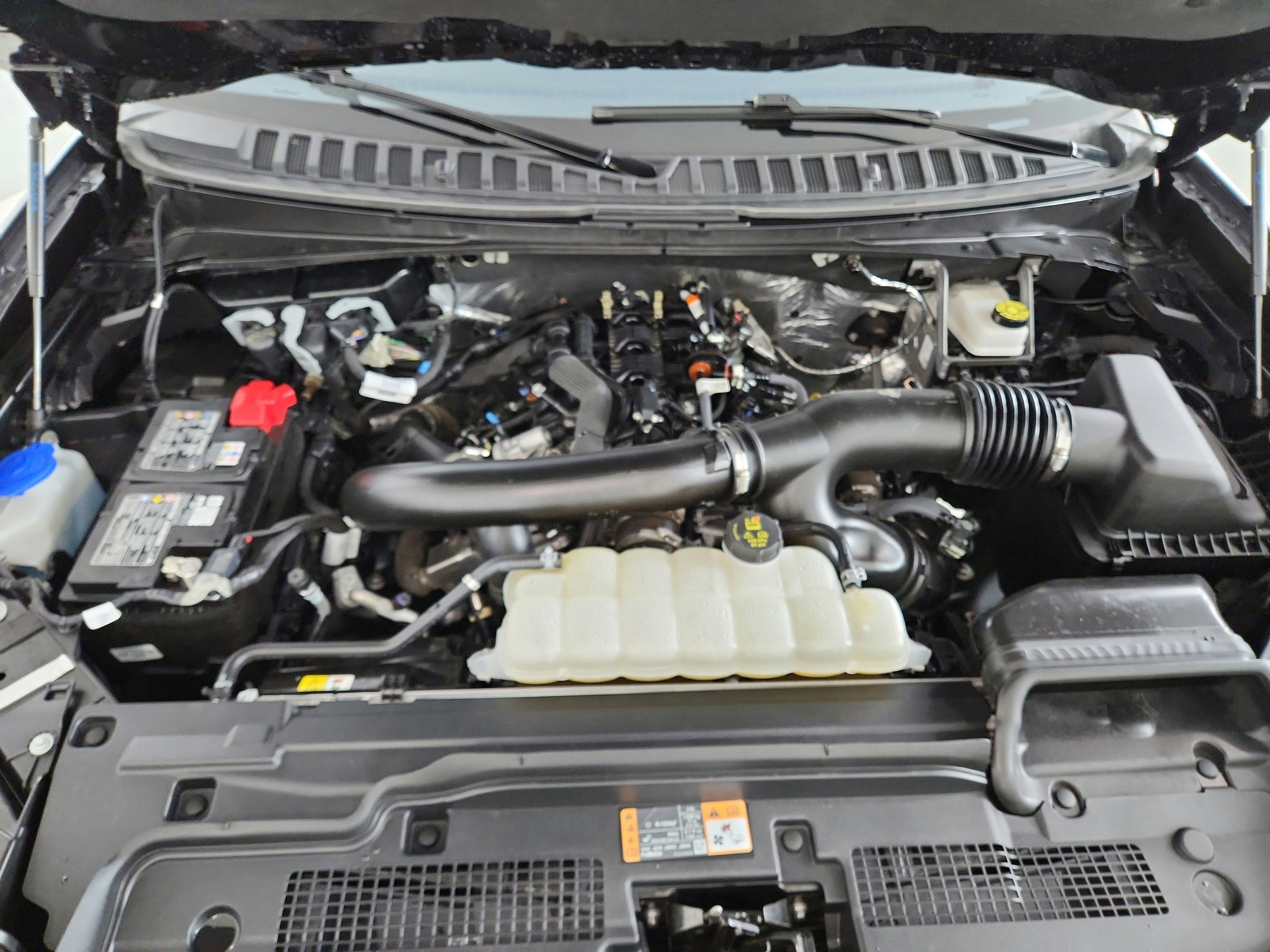 2025 Ford Expedition Max Active MAX