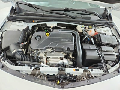 2024 Chevrolet Malibu FWD 1FL