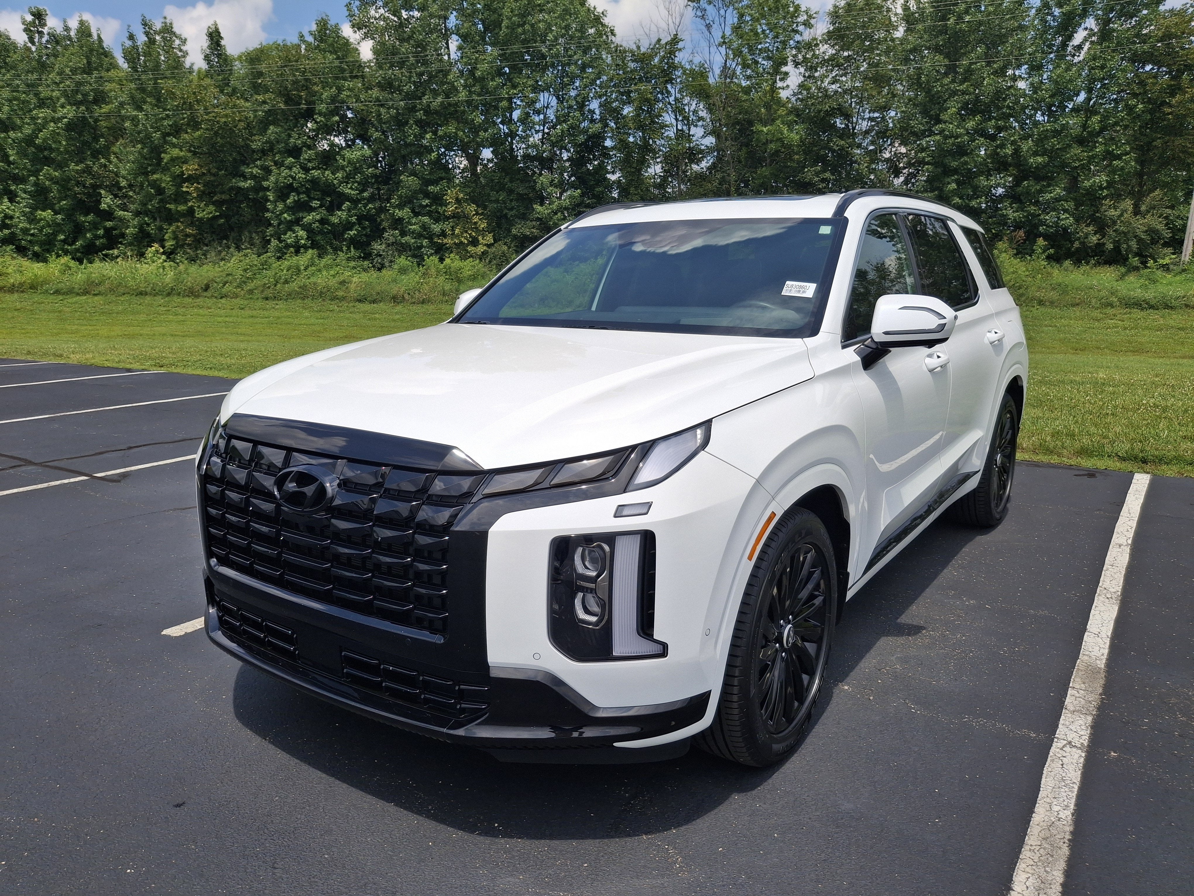 2025 Hyundai Palisade Calligraphy Night Edition