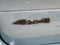 2026 Jeep Grand Cherokee JEEP GRAND CHEROKEE L LIMITED 4X4