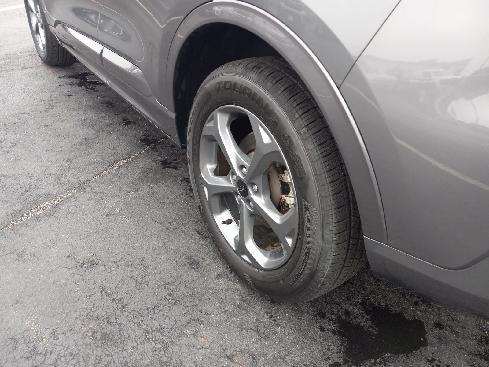 2024 Ford Escape ST-Line