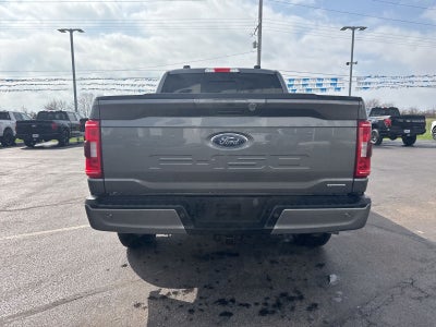 2023 Ford F-150 XLT 4WD SuperCrew 5.5' Box