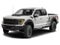 2023 Ford F-150 Raptor 4WD SuperCrew 5.5' Box